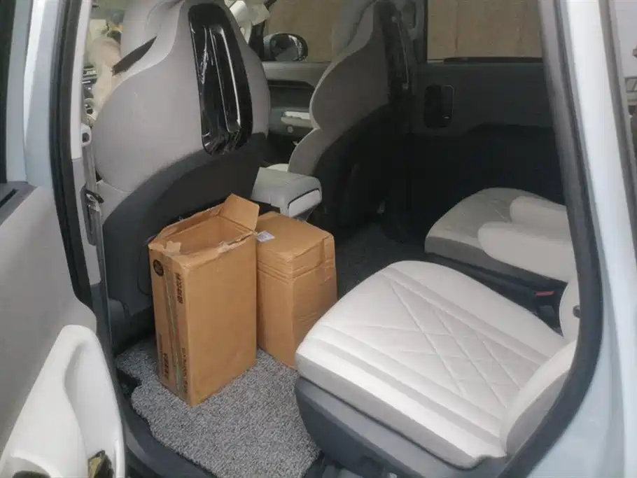 ARCFOX Polar fox koala