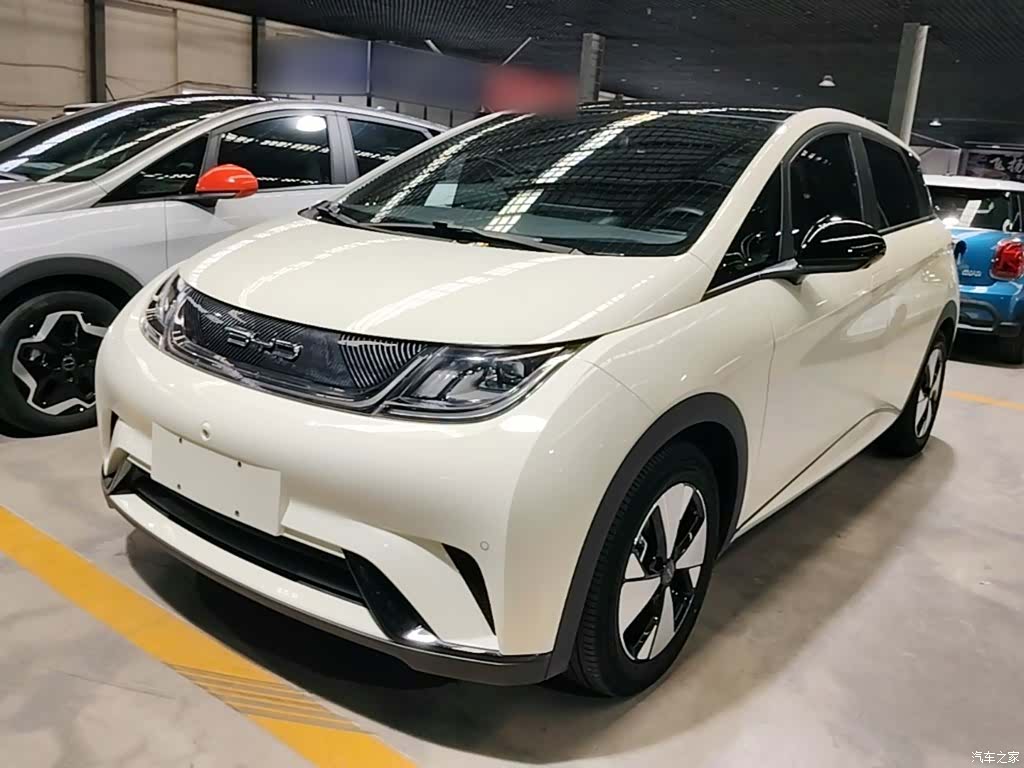 BYD Dolphin, 2023 1