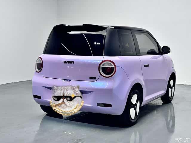 Changan Lumin, 2024 14