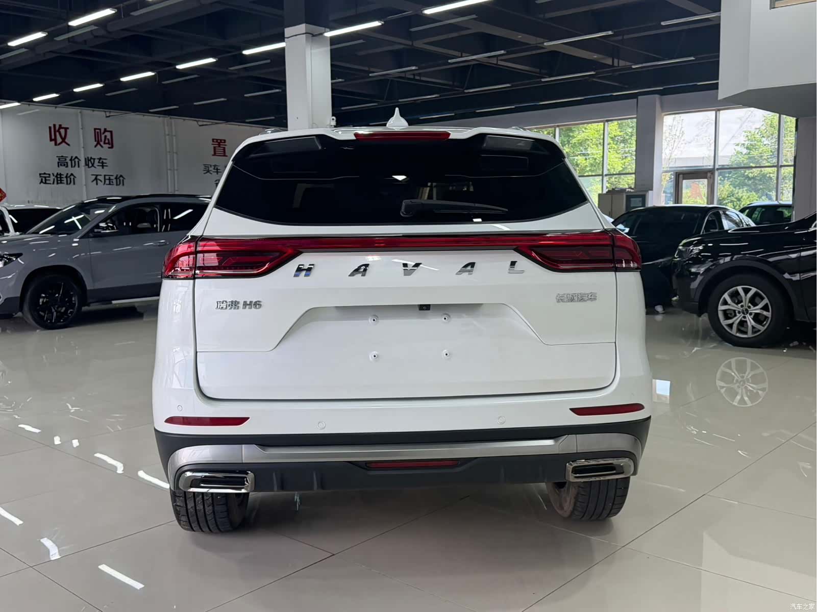Haval H6, 2023 все фото