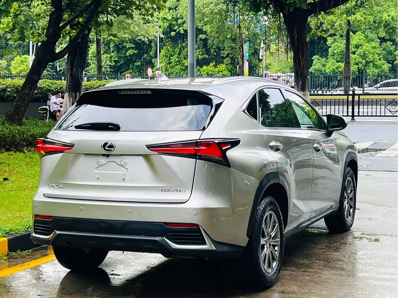 Lexus NX, 2019 все фото
