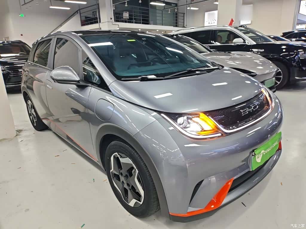 BYD Dolphin, 2022 4