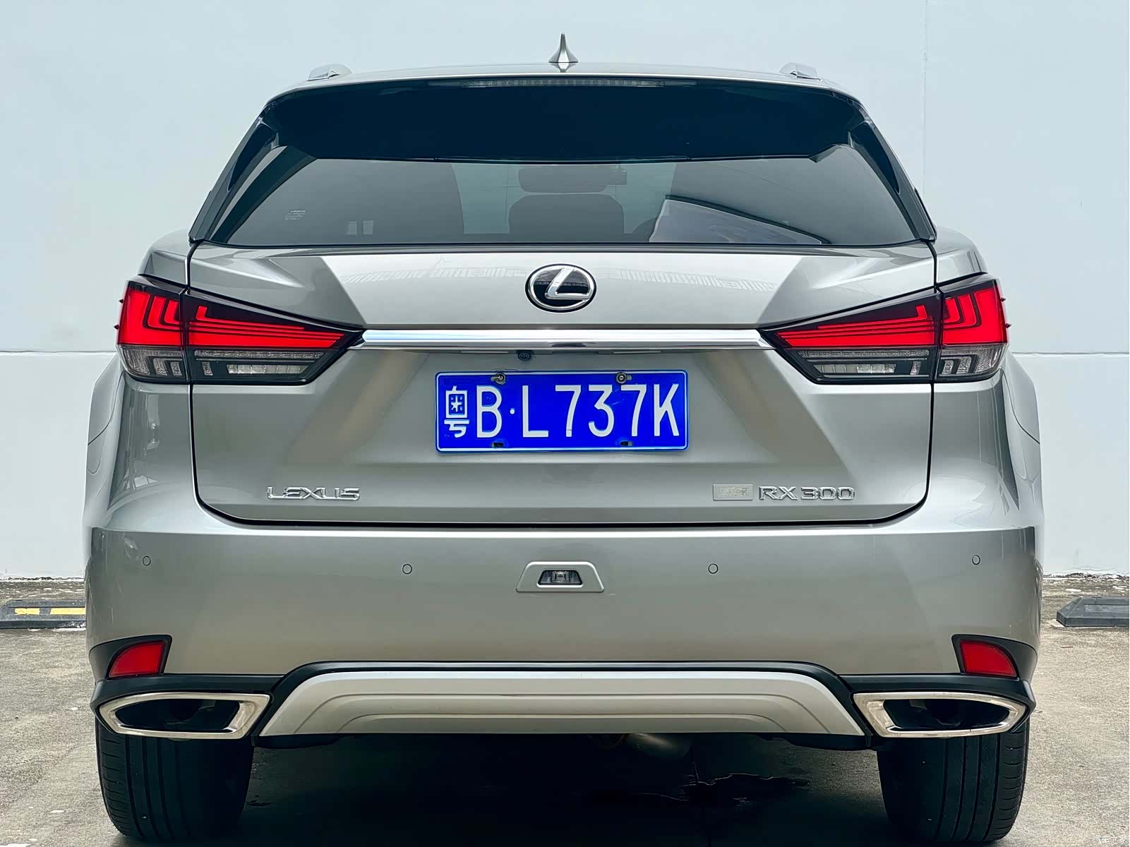 Lexus RX, 2021 17