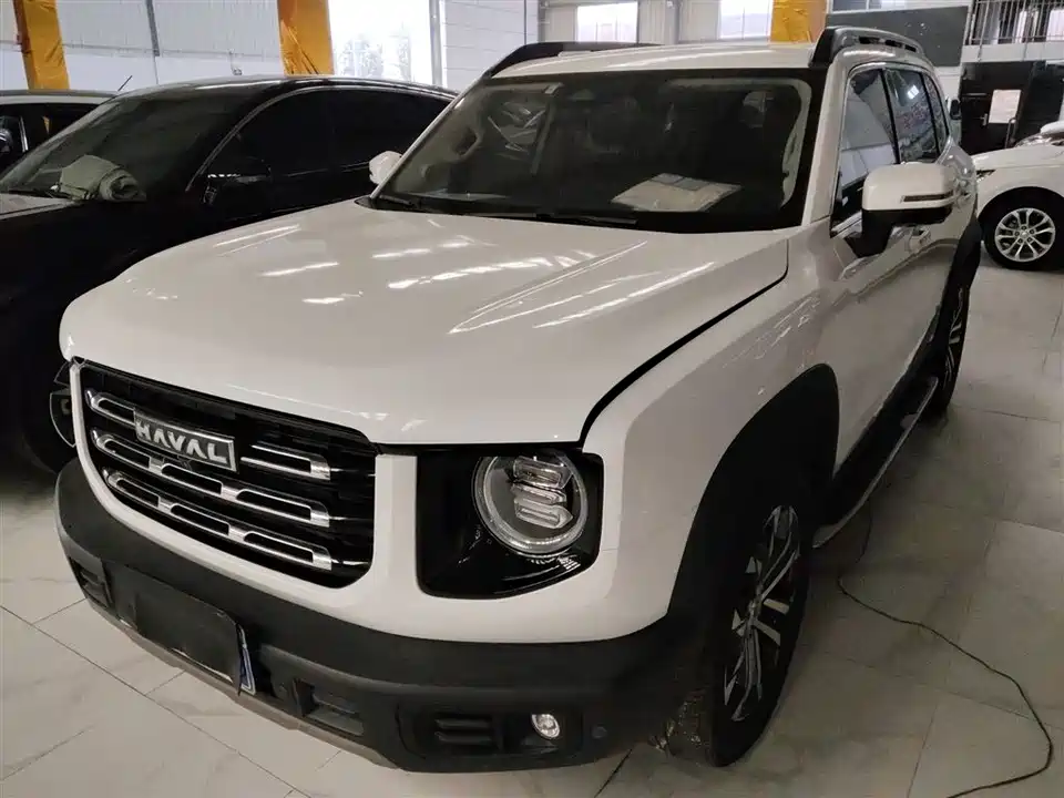 Haval Big dog