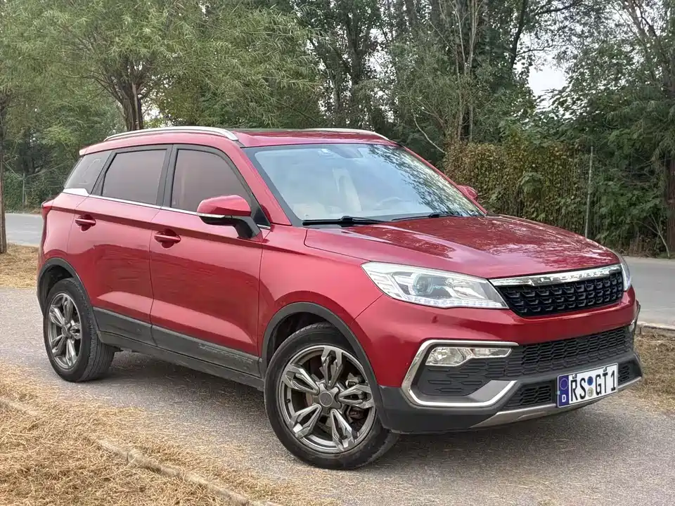 Leopaard Cheetah CS9