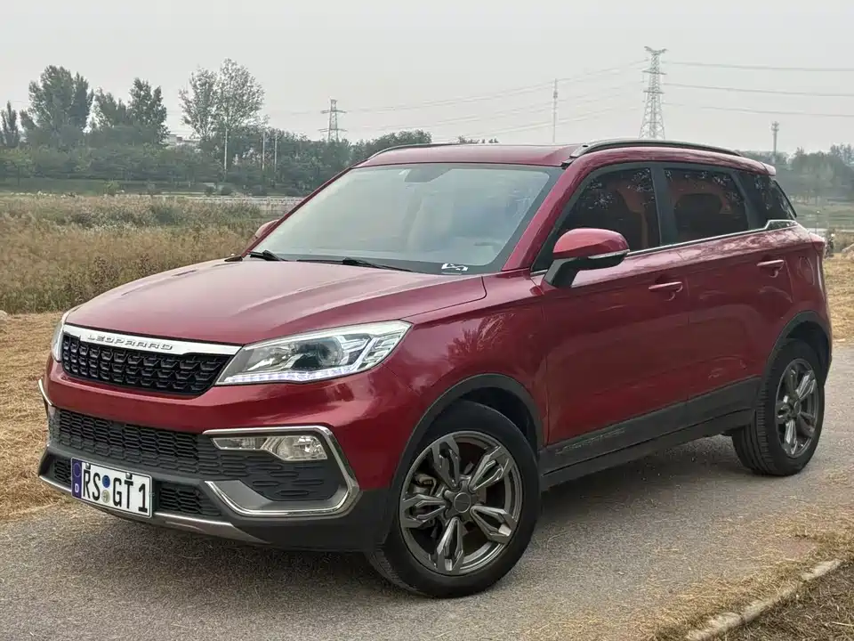 Leopaard Cheetah CS9