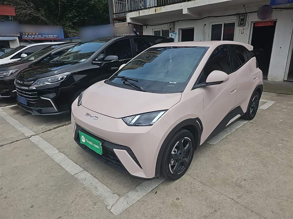 BYD Seagull
