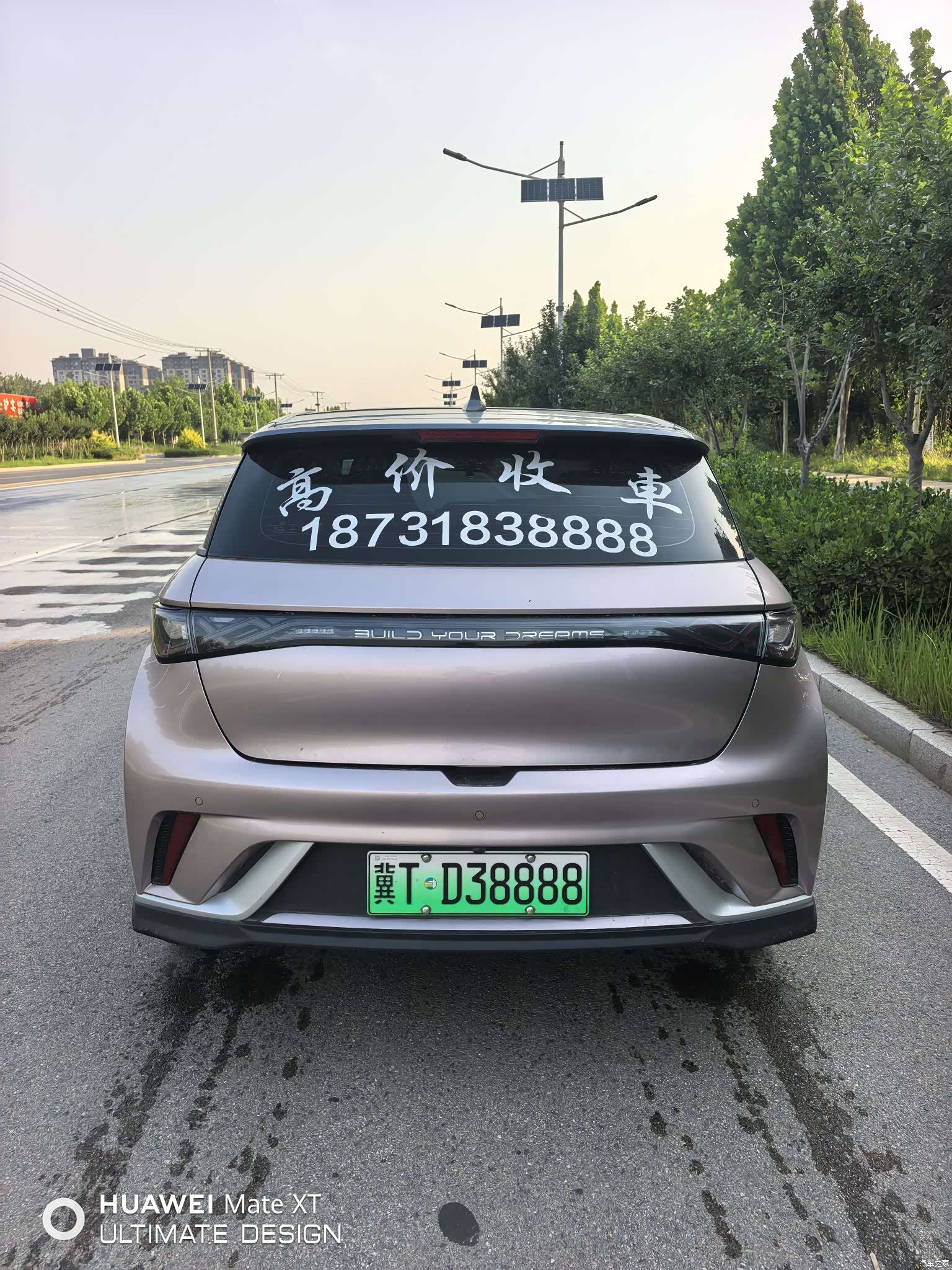 BYD Dolphin, 2022 все фото