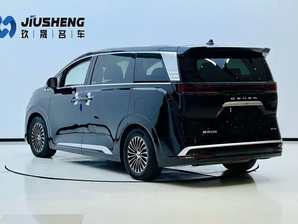 Denza D9