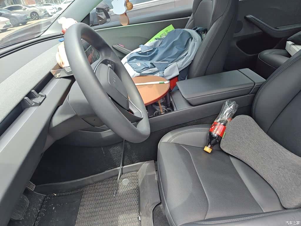 Tesla Model 3, 2024 8