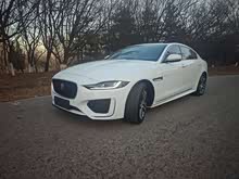 �ݱ�XEL 2024�� 2.0T 250PS R-DYNAMIC S��ȡ�˶���