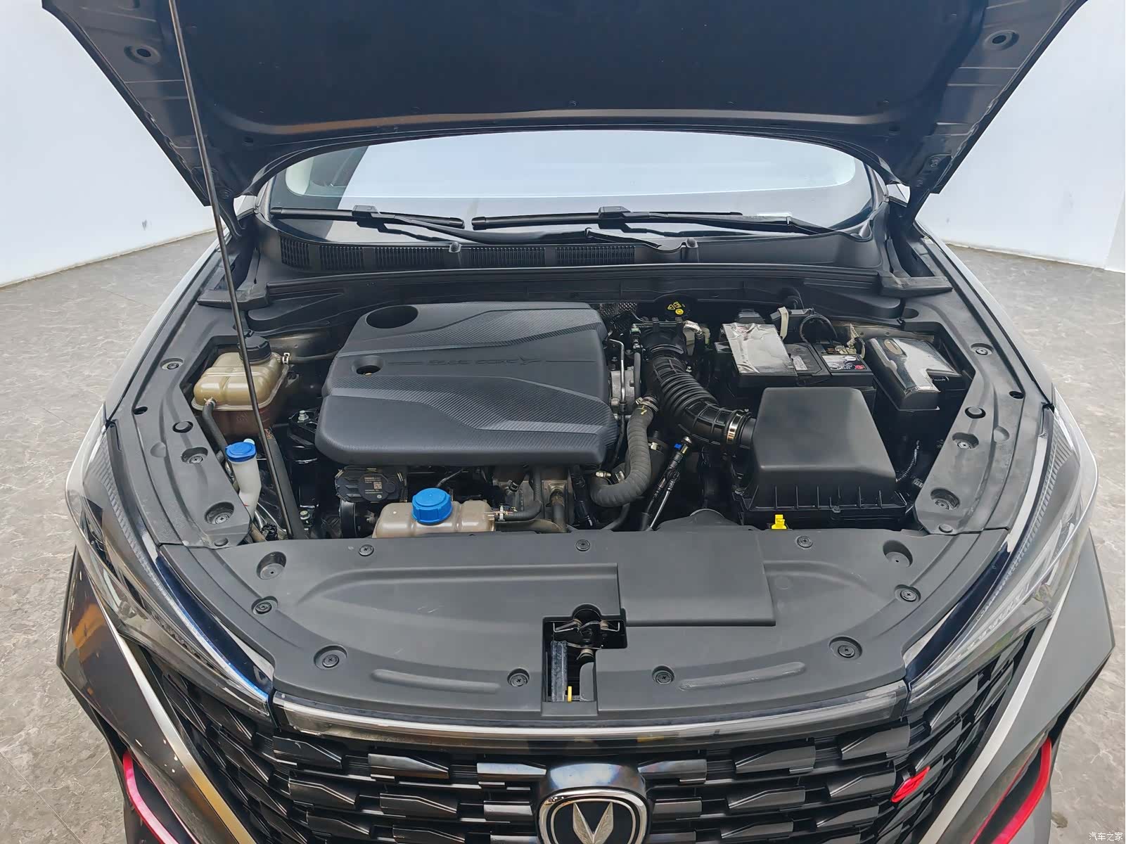 Changan Eado, 2023 12