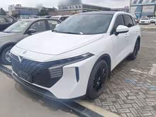 ������V 2021�� 260T ������