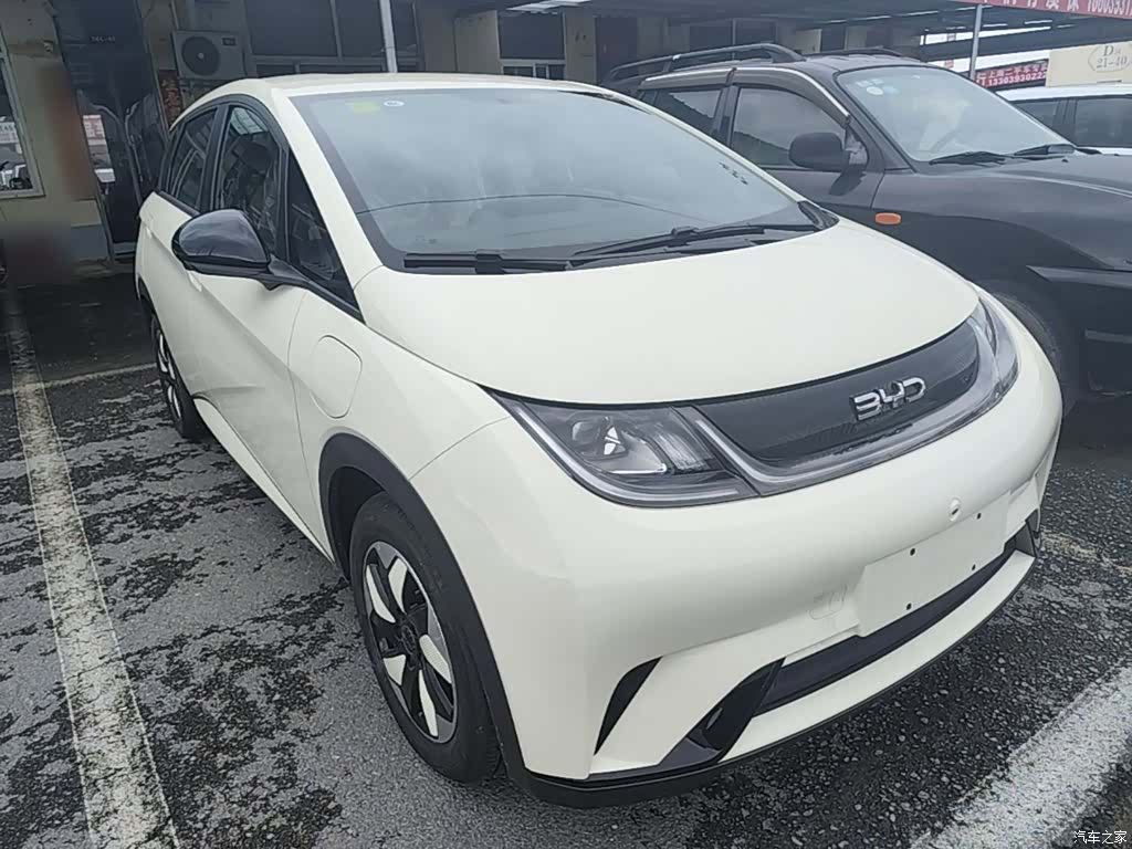 BYD Dolphin, 2026 4