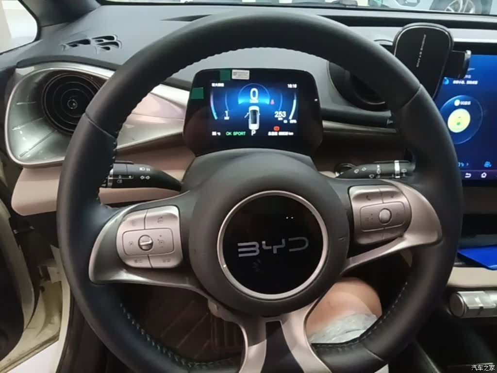 BYD Dolphin, 2025 11