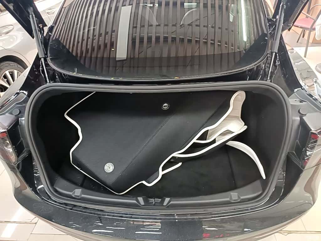 Tesla Model 3, 2020 19