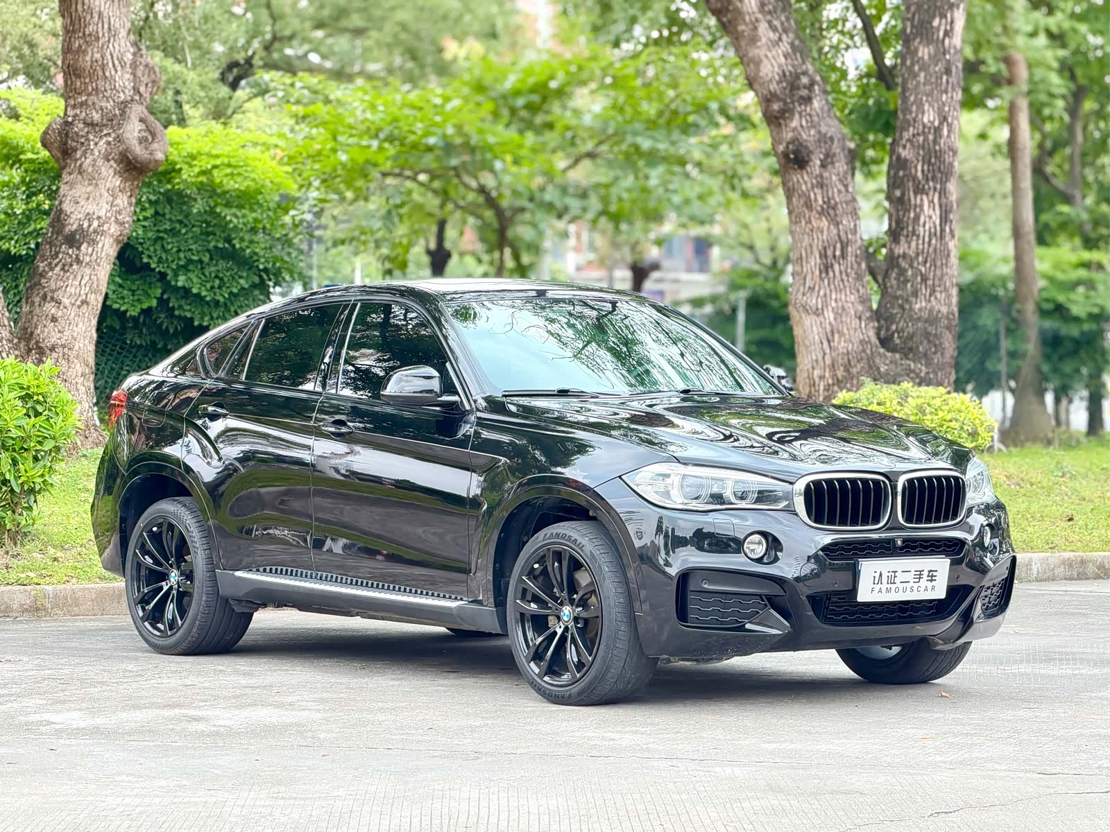BMW X6, 2019 3