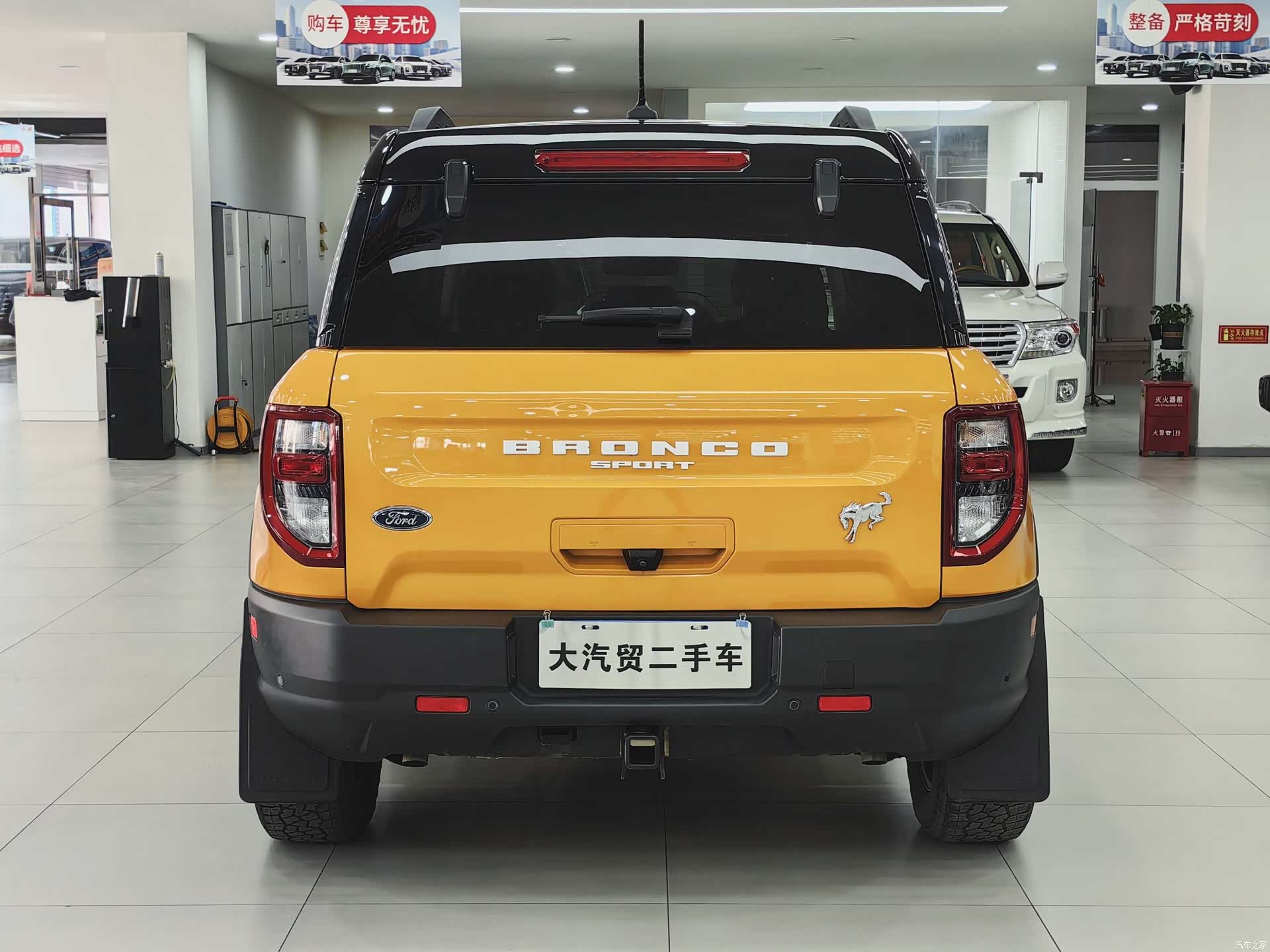 BroncoLieMa Bronco, 2023 4