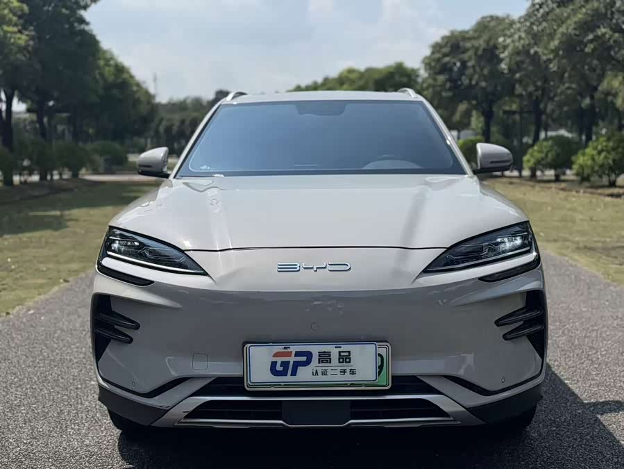 BYD Song PLUS New Energy 2024, фото 2