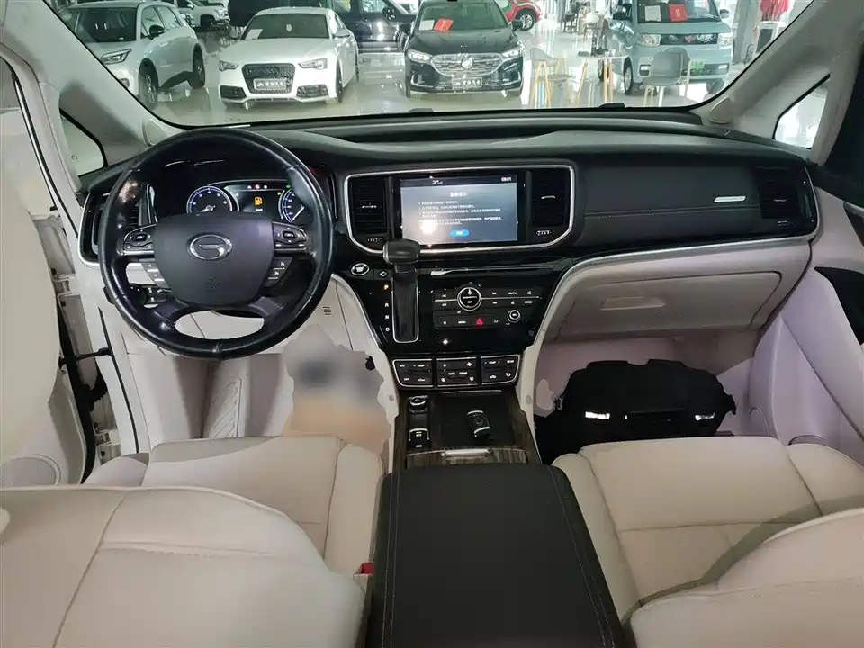 Trumpchi Trumpchi M8