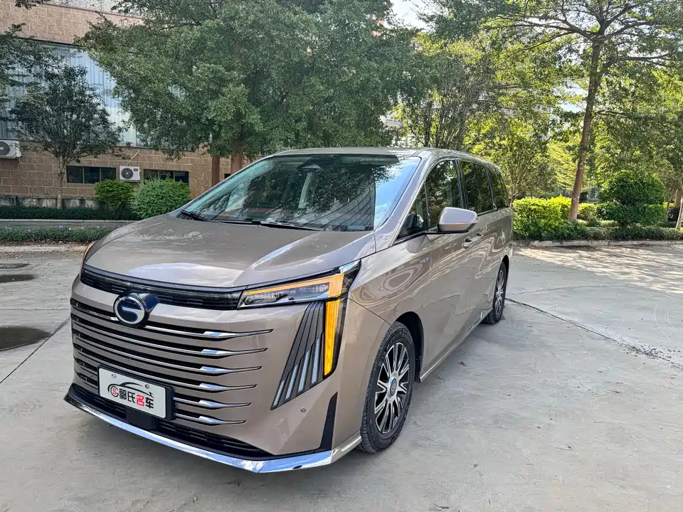 Trumpchi Trumpchi E9