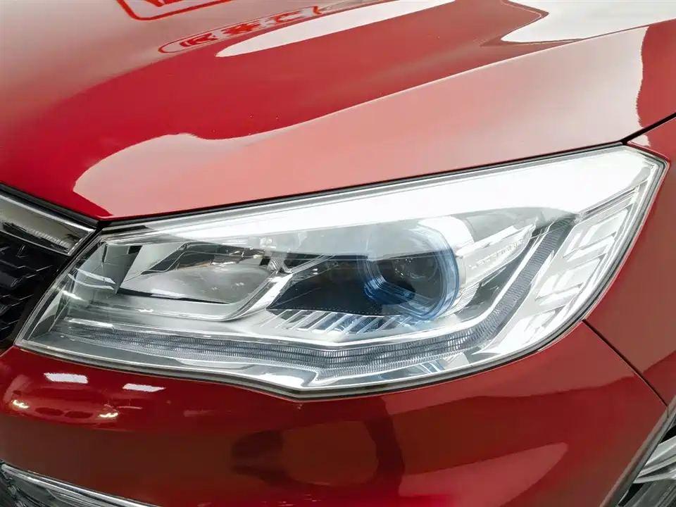 Leopaard Cheetah CS9