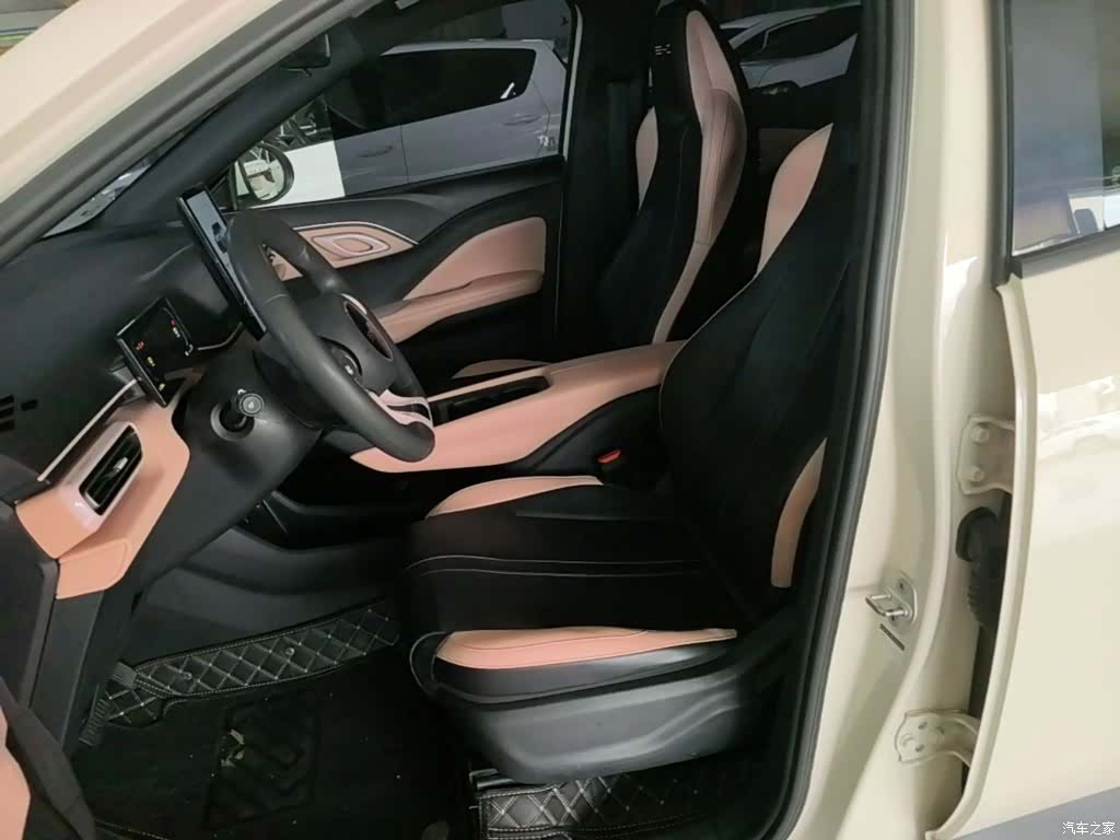 BYD Seagull, 2024 15