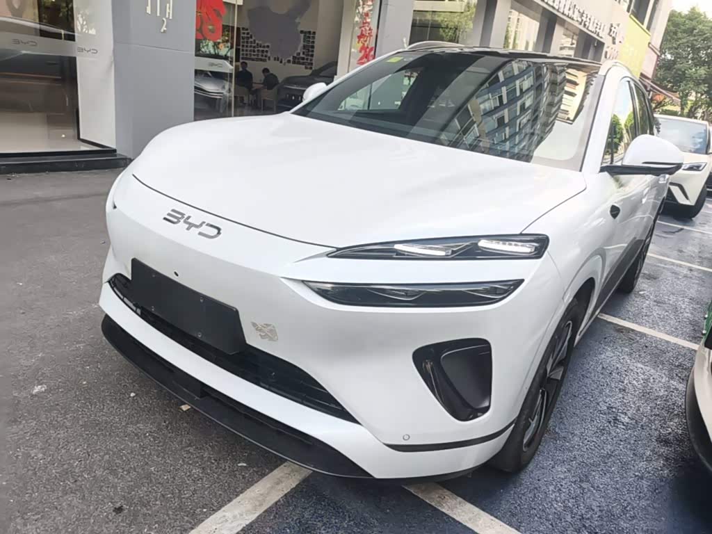 BYD Sea Lion 06