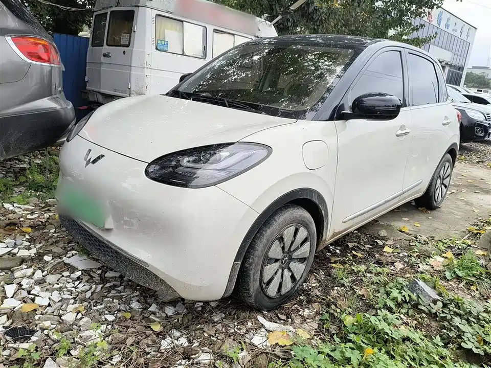 Wuling Wuling Bingguo