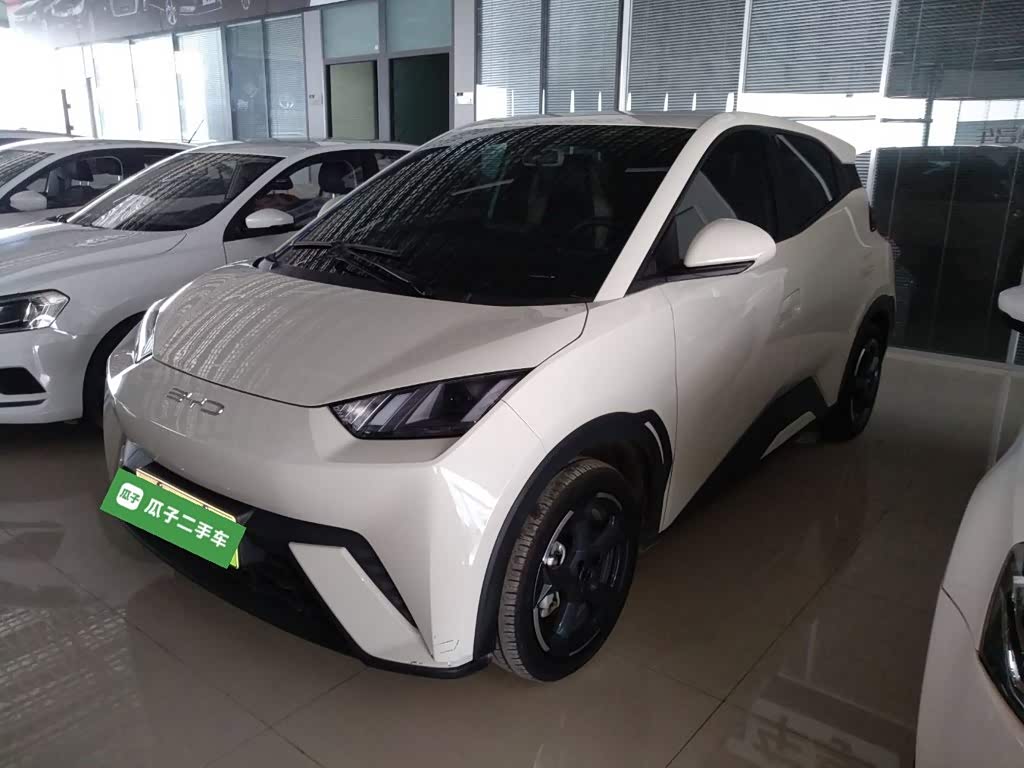 BYD Seagull