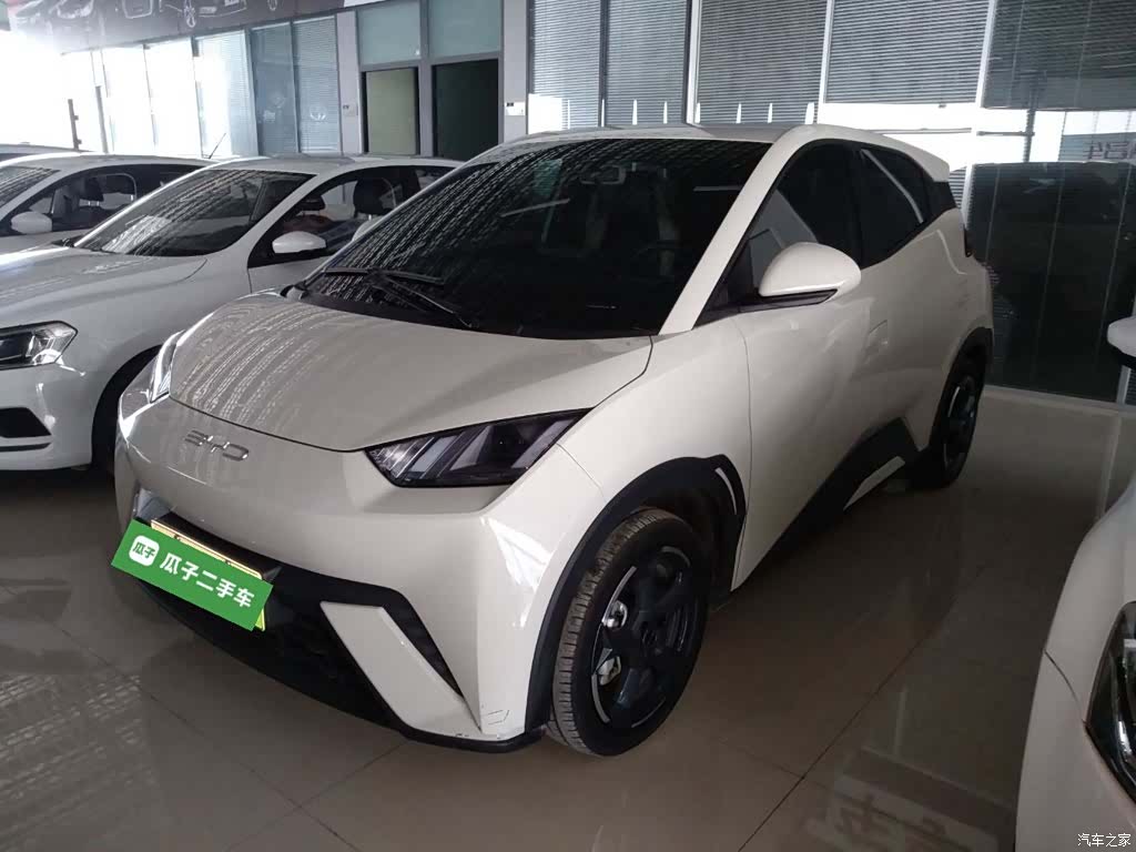 BYD Seagull, 2024 1