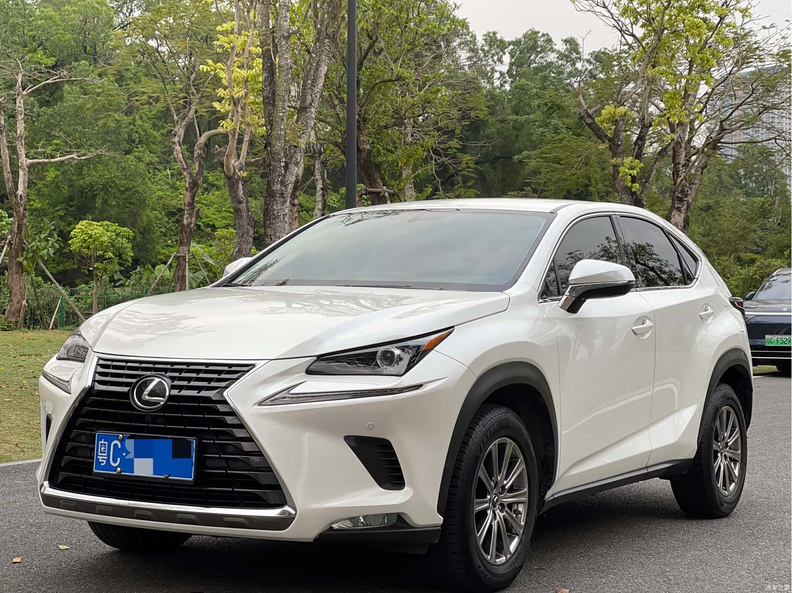 Lexus NX, 2019 1