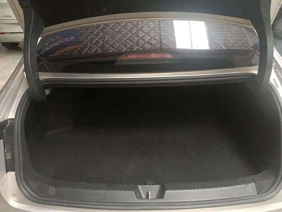 Wuling Wuling Starlight