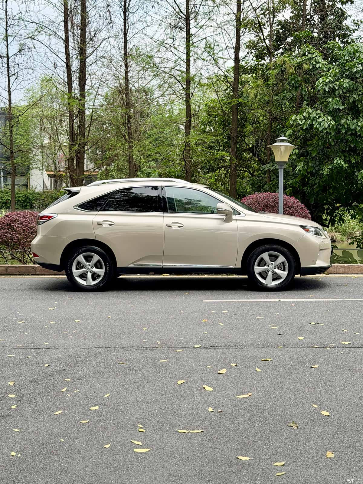Lexus RX, 2013 3