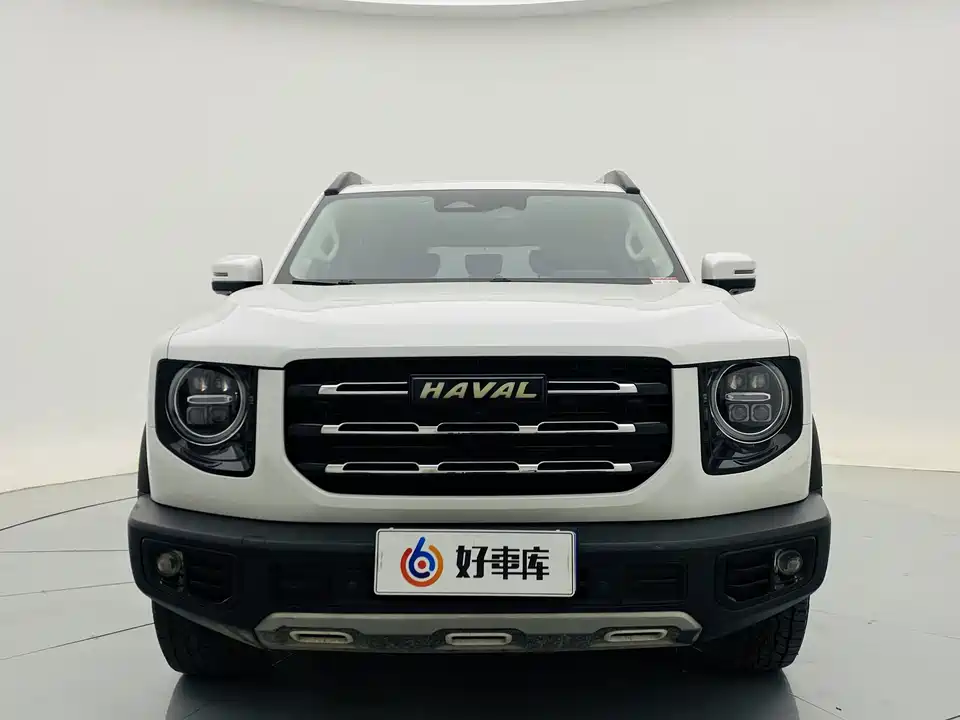 Haval Big dog