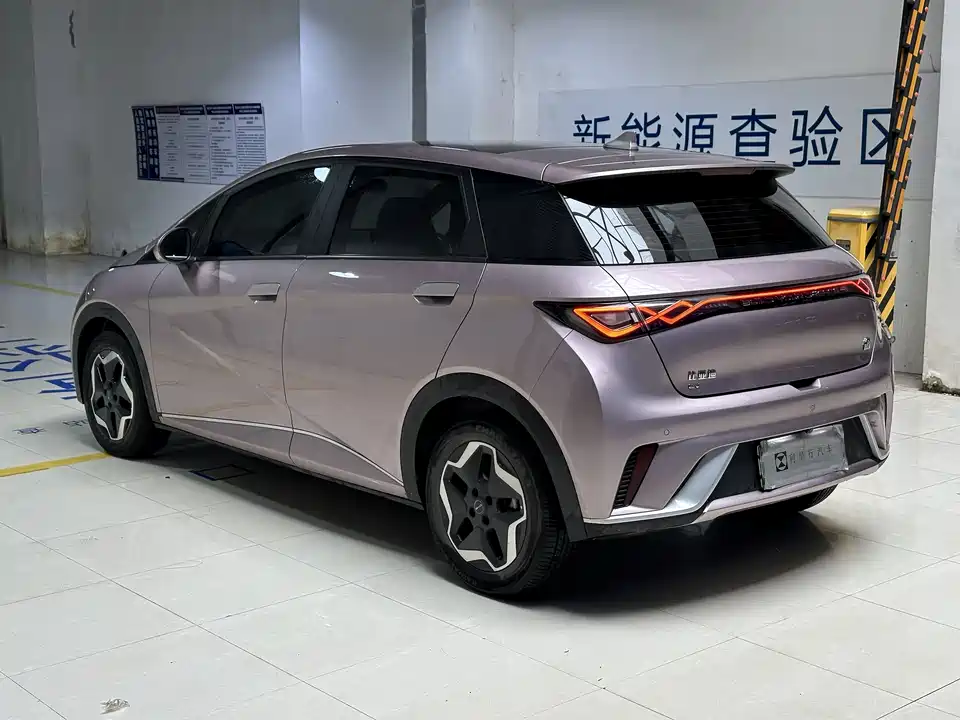 BYD dolphin