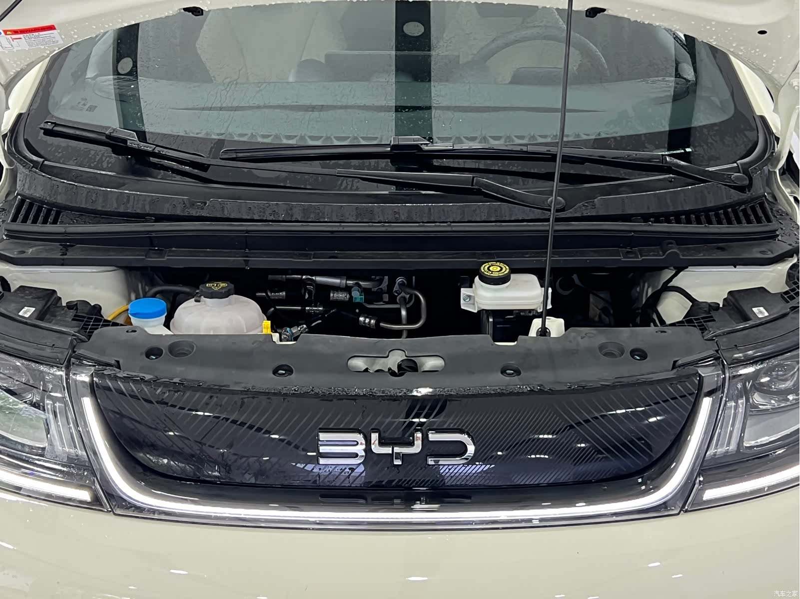 BYD Dolphin, 2026 4