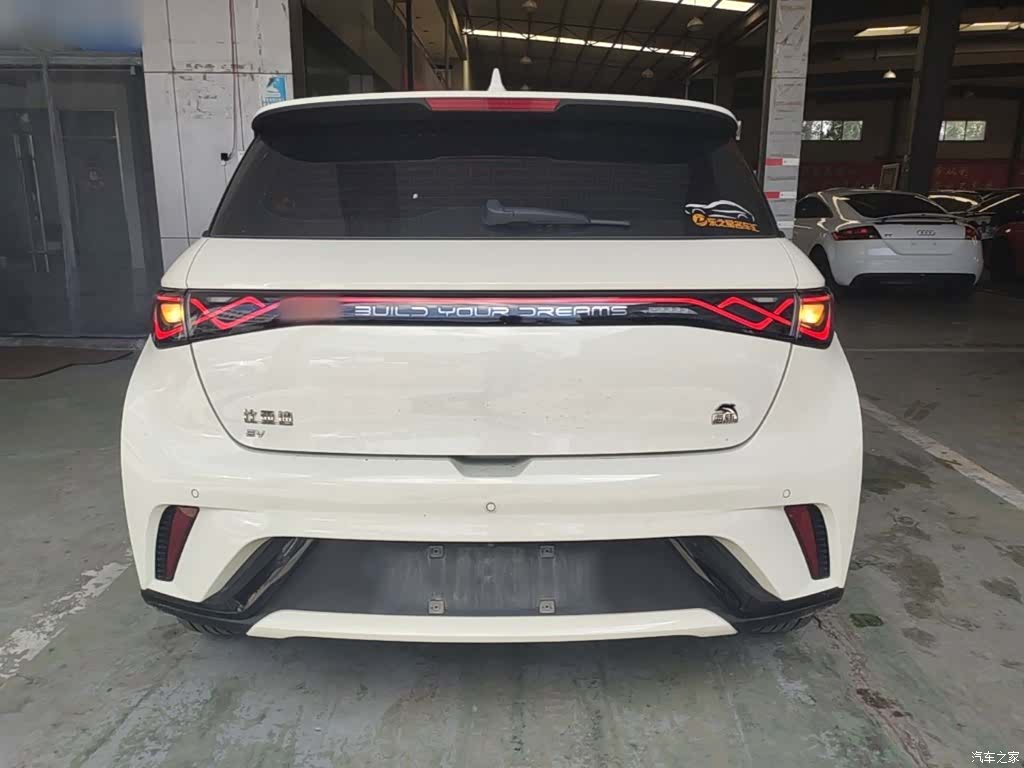 BYD Dolphin, 2023 6