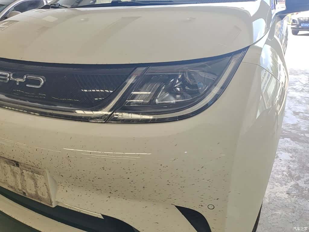 BYD Dolphin, 2023 24