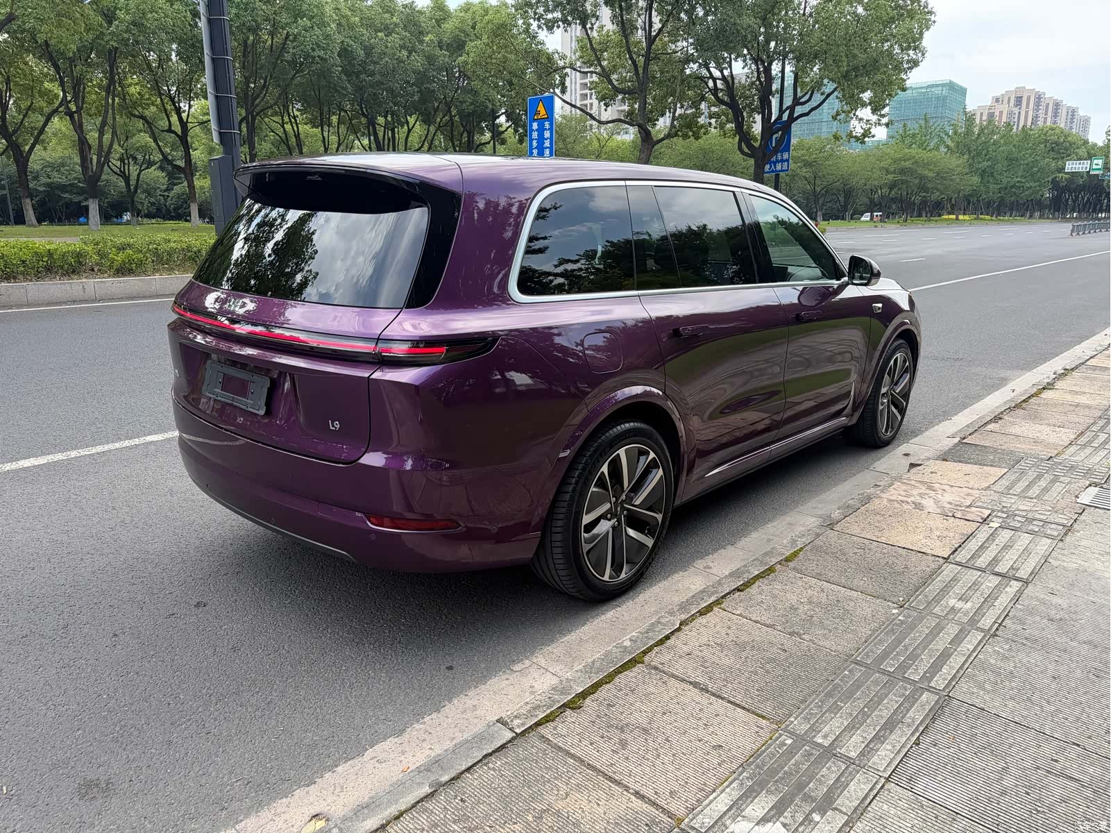 Li Auto L9, 2024 10