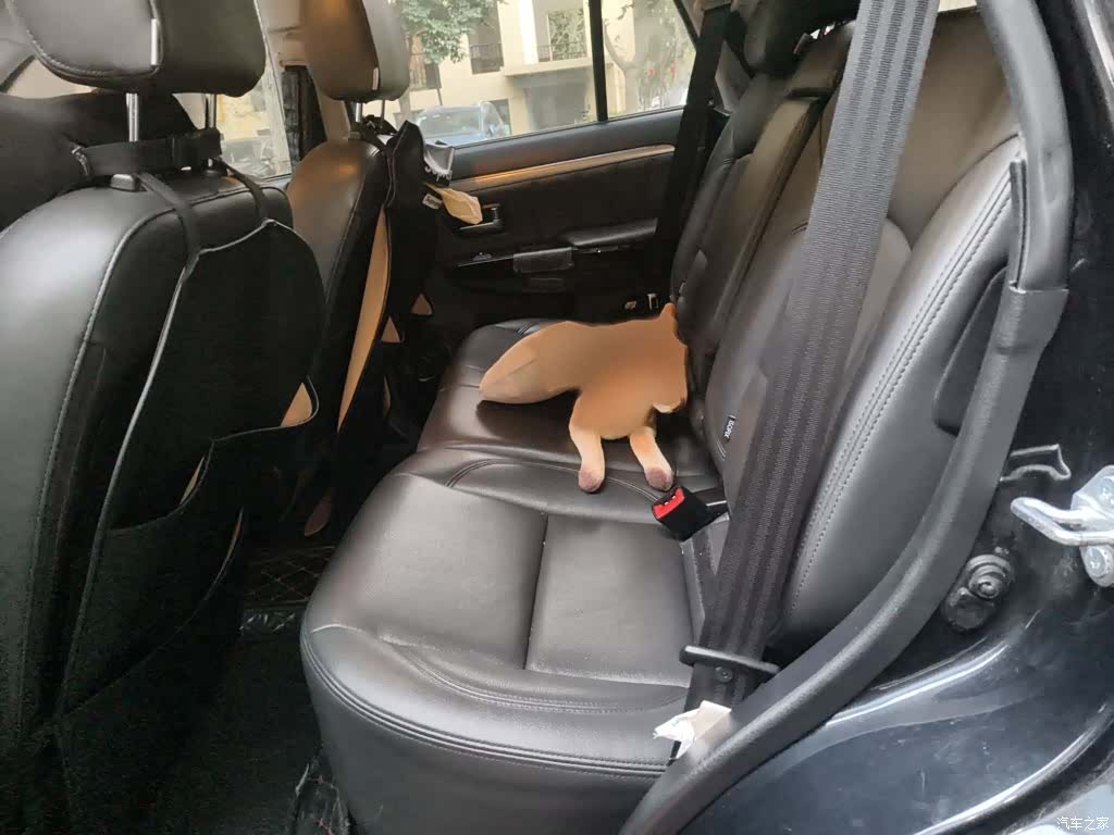 Haval H5, 2018 15