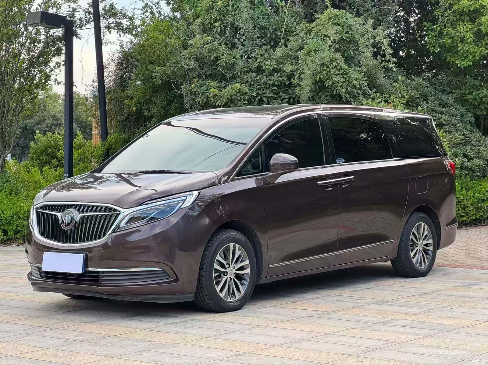 Buick GL8, 2020 1