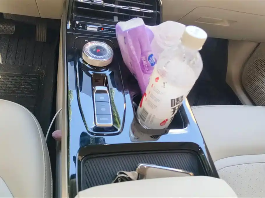 Wuling Wuling Starlight