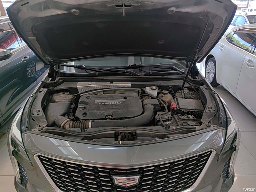Cadillac XT4, 2019 20