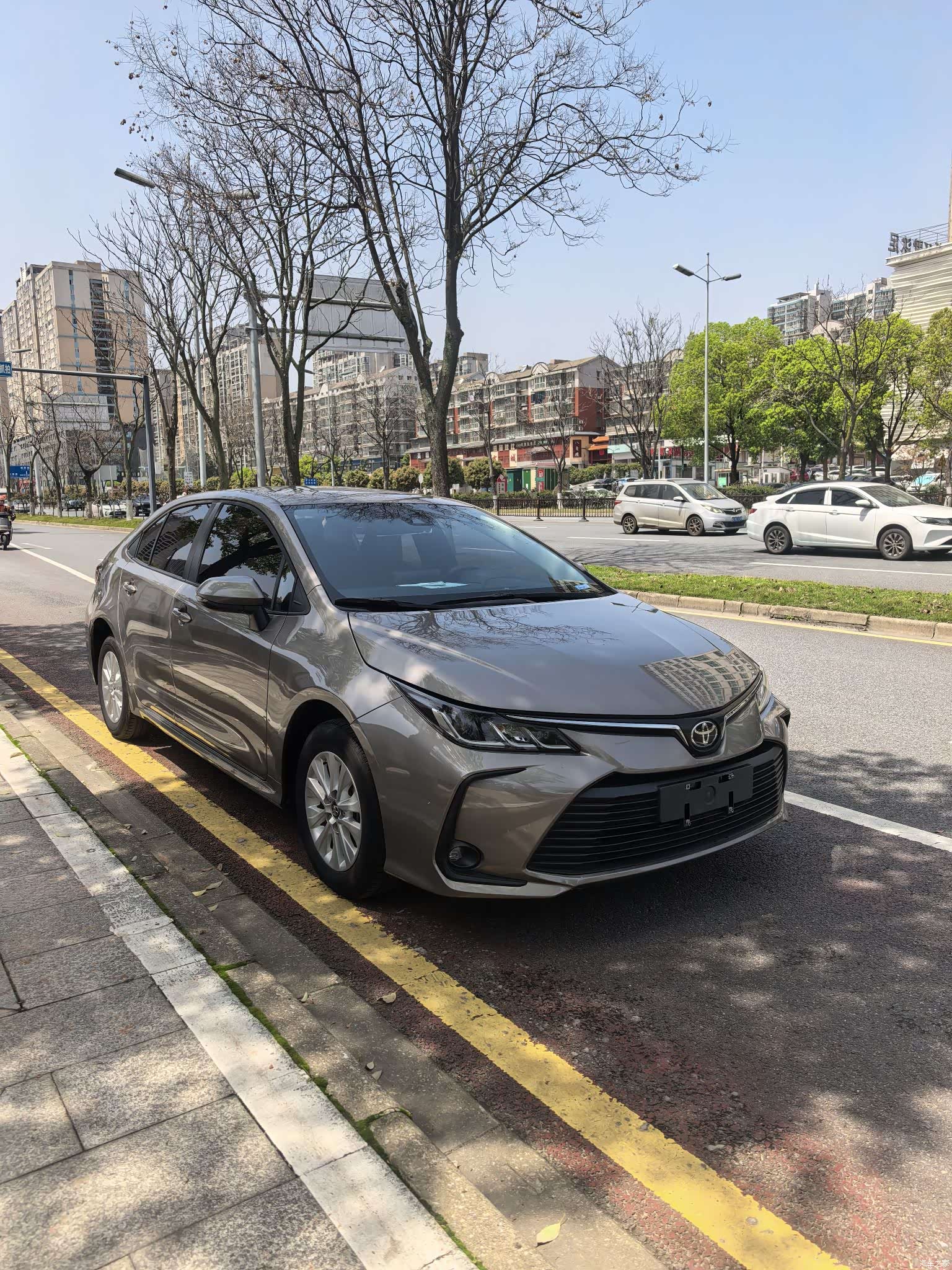 Toyota Corolla, 2023 3