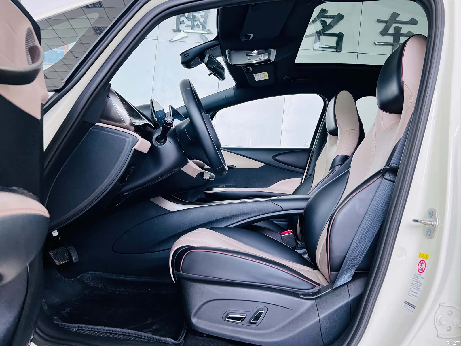 BYD Dolphin, 2024 11