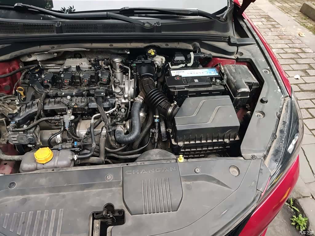 Changan Eado, 2020 21