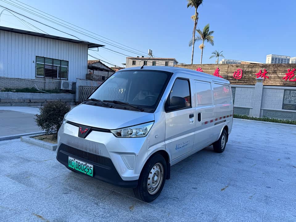 Wuling Wuling EV50