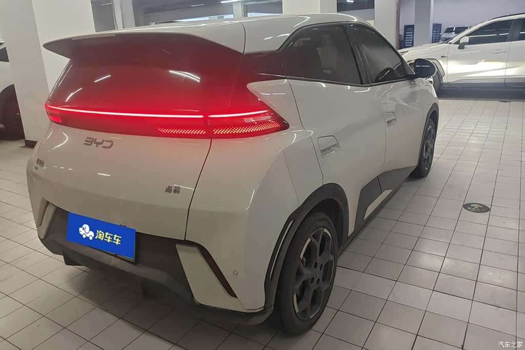 BYD Seagull, 2024 3