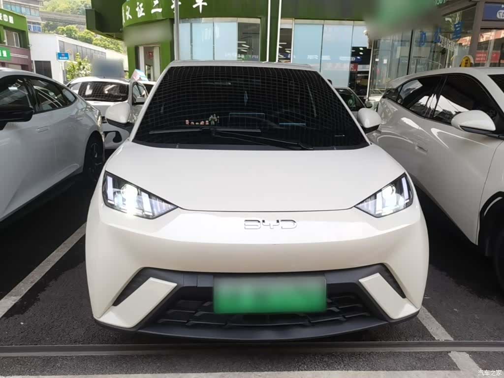 BYD Seagull, 2024 3
